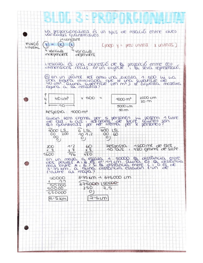 Miniatura del documento bloc-3-proporcionalitat.pdf