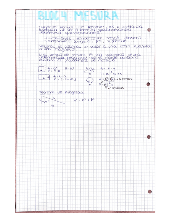 Miniatura del documento bloc-4-mesura.pdf