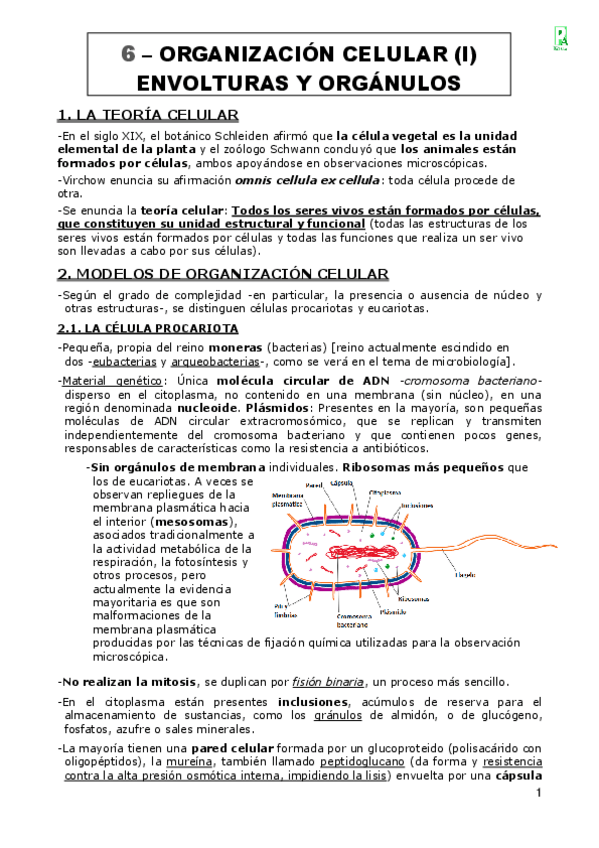 Miniatura del documento 06-Organizacion-celular-I.-Selectividad.pdf