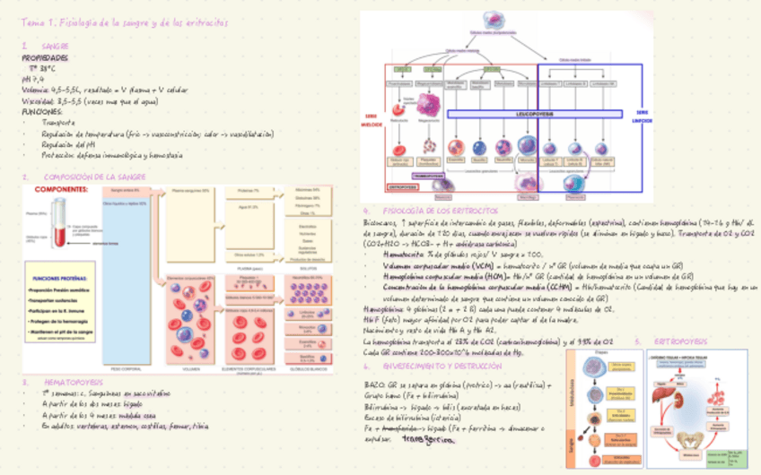Miniatura del documento Resumenes-FH-II-para-examen.pdf