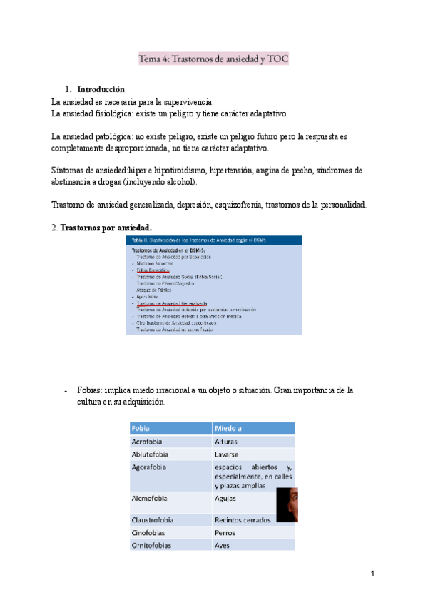 Miniatura del documento NPS-Ansiedad-y-TOC.pdf