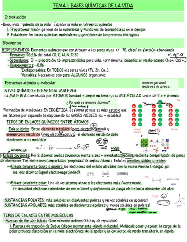 Miniatura del documento BQ-Y-Nutri-TODO.pdf