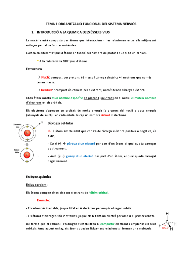 Miniatura del documento fisio-final.pdf