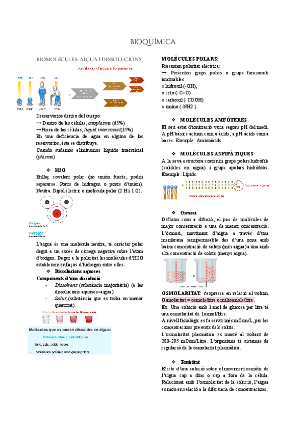 Miniatura del documento BIOQUIMICA.pdf