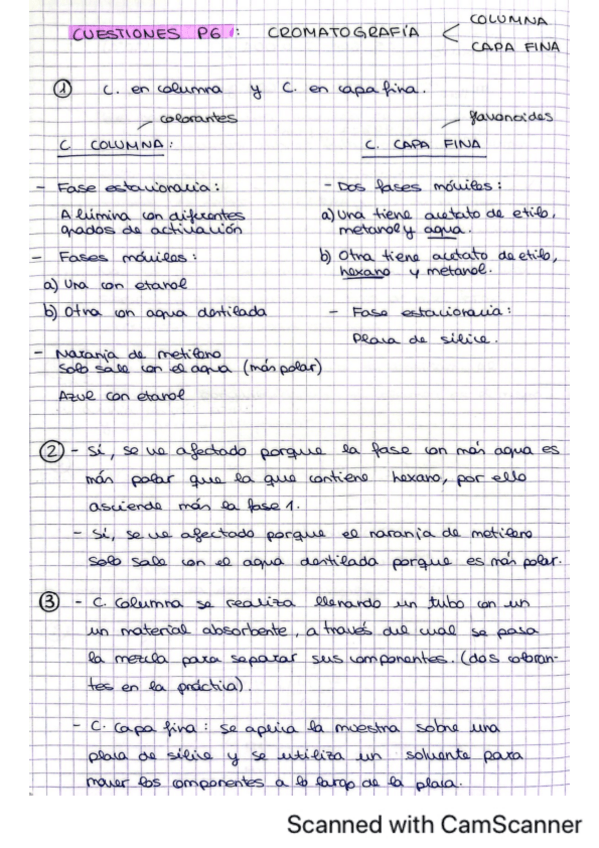 Miniatura del documento Cuestiones-P6-Experimentacion.pdf