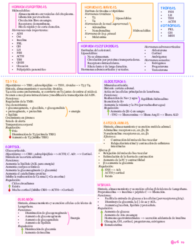 Miniatura del documento Resumen-hormonas-principales.pdf