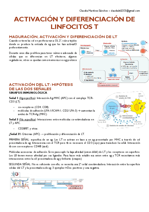 Miniatura del documento T11.pdf