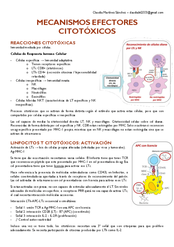 Miniatura del documento T13.pdf