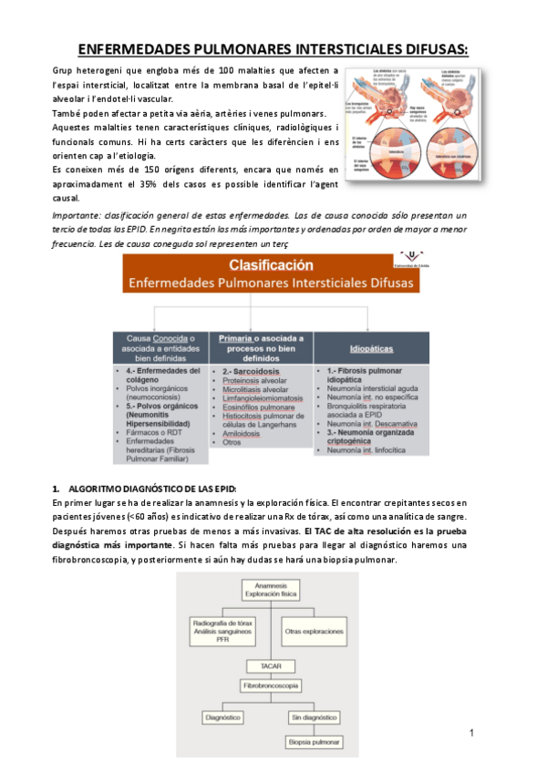 Miniatura del documento ENFERMEDADES-PULMONARES-INTERSTICIALES-DIFUSAS.pdf