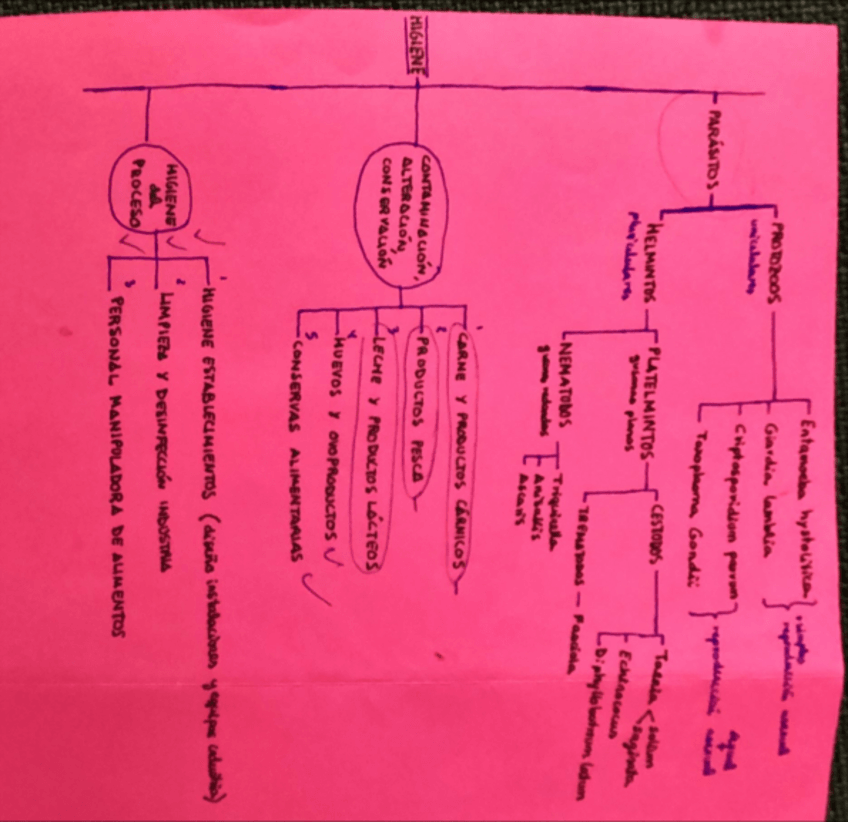 Miniatura del documento Esquemas-higiene-2Parcial.pdf
