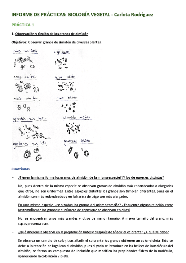 Miniatura del documento INFORME-VEGETAL.pdf