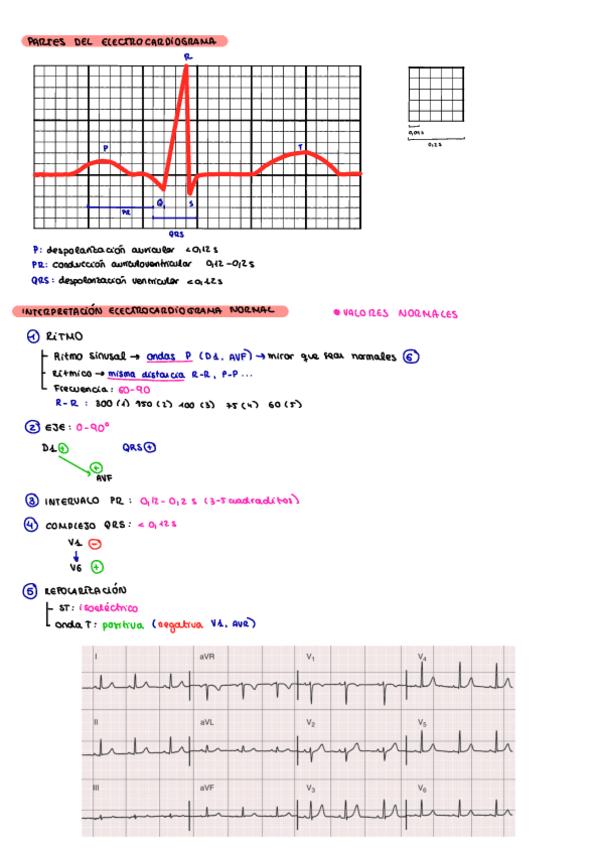 Miniatura del documento Introduccion-al-electrocardiograma.pdf