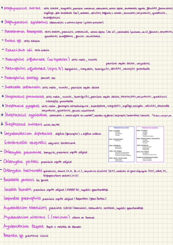 Miniatura del documento llista-bacteri-malalties-i-caracteristiques.pdf