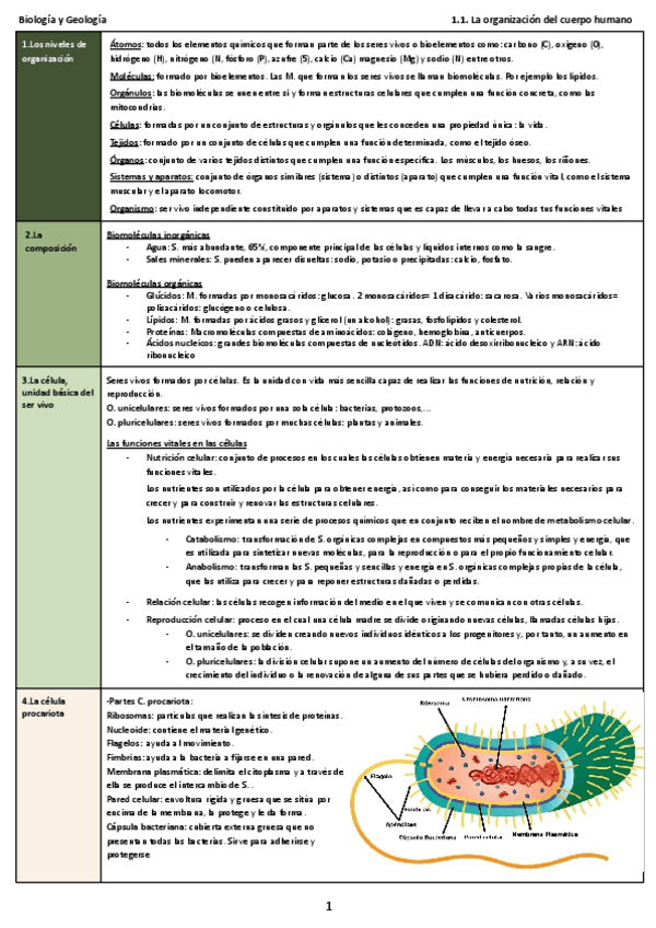 Miniatura del documento Biologia-y-Geologia.-Tema-1-La-celula.-3o-ESO..pdf