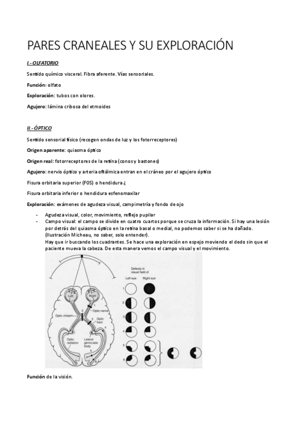 Miniatura del documento 12-pares-craneales-y-su-exploracion.pdf