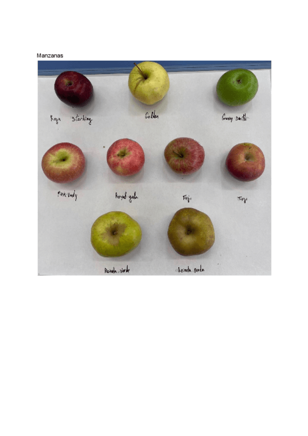 Miniatura del documento Visu-lenosos-2024.pdf