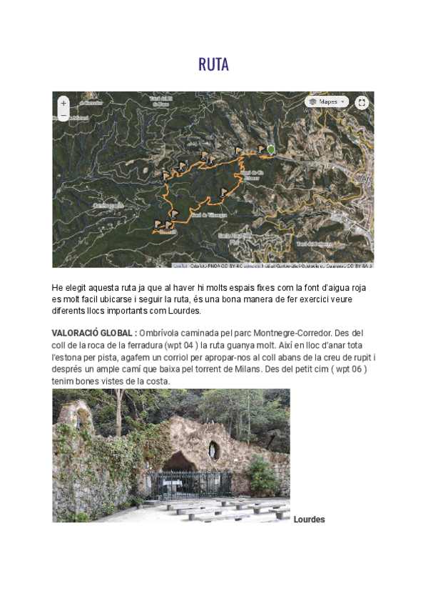 Miniatura del documento RUTA.pdf