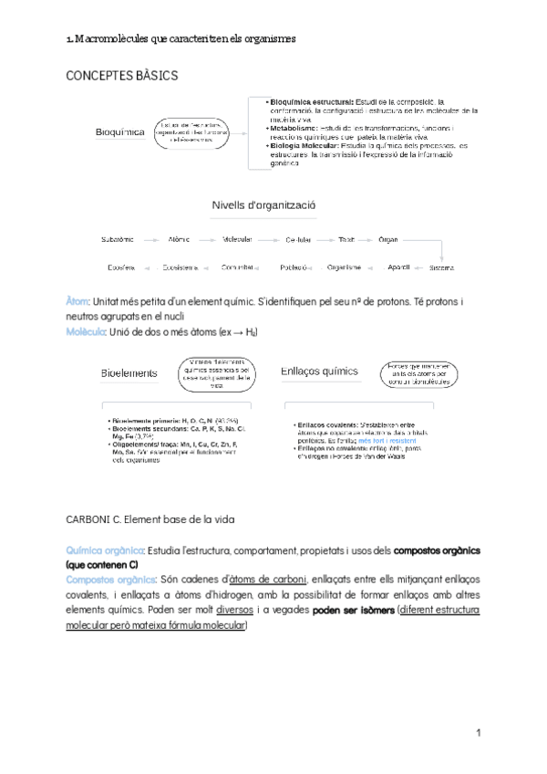 Miniatura del documento BiologiaAmbiental20222023.pdf