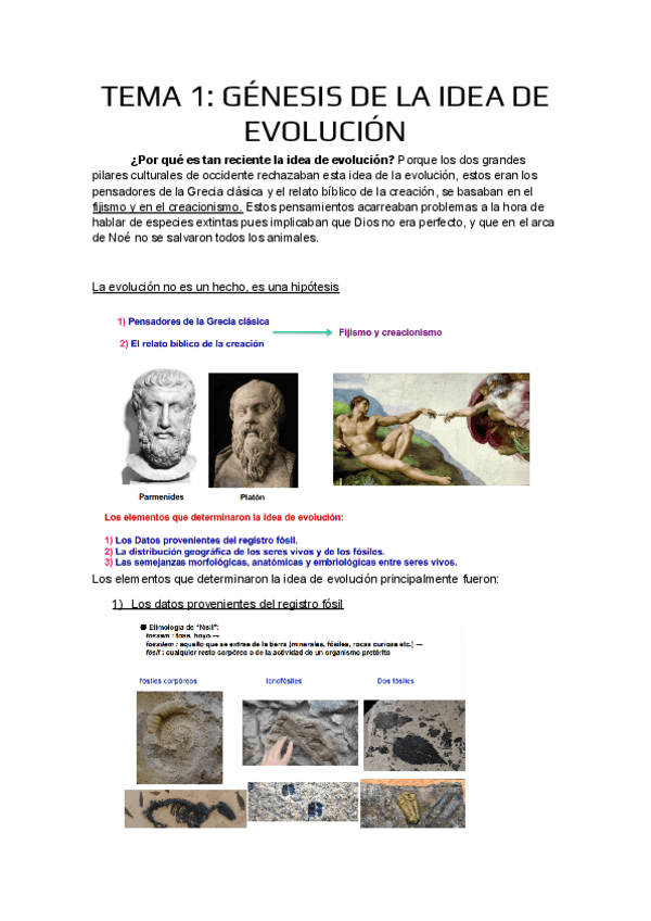 Miniatura del documento Paleontologia-y-Evolucion.pdf