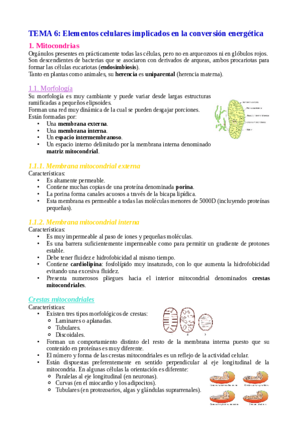 Miniatura del documento Tema-6.pdf
