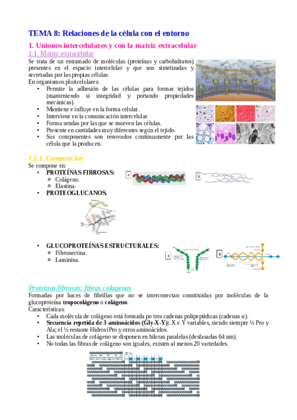 Miniatura del documento Tema-8.pdf