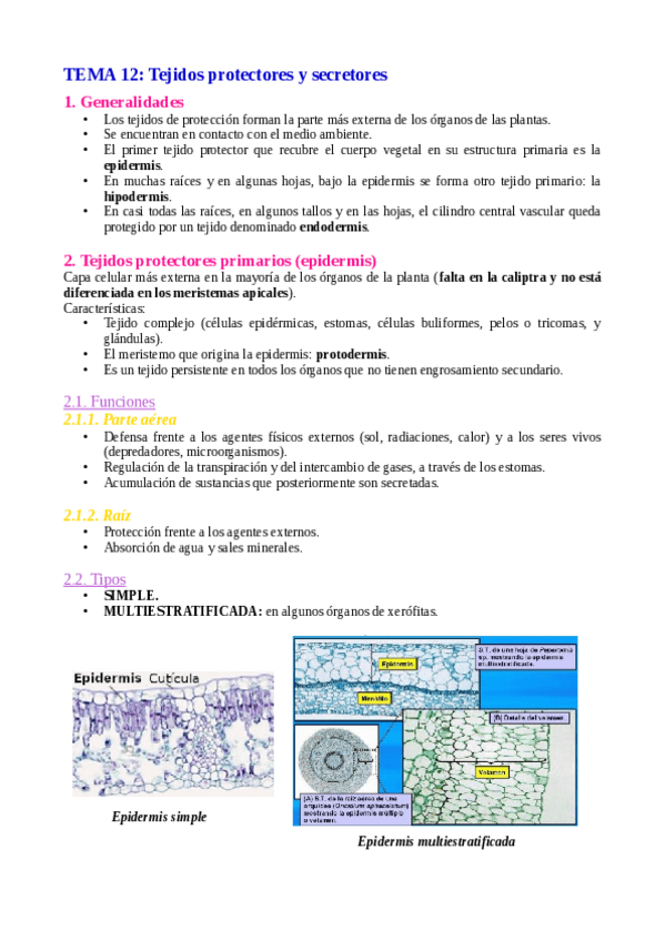 Miniatura del documento Tema-12.pdf