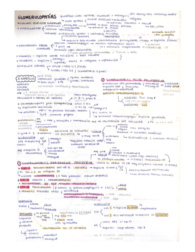Miniatura del documento Glomerulopatias.pdf