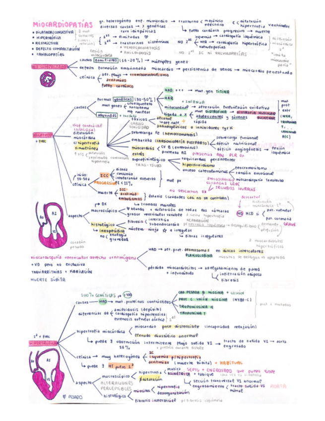 Miniatura del documento Miocardiopatias.pdf