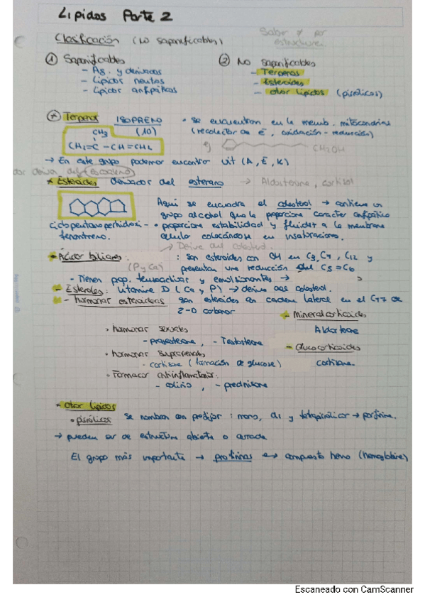Miniatura del documento lipidos-bioquimica.pdf