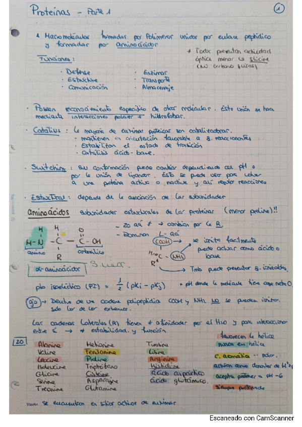 Miniatura del documento proteinas-bioquimica.pdf