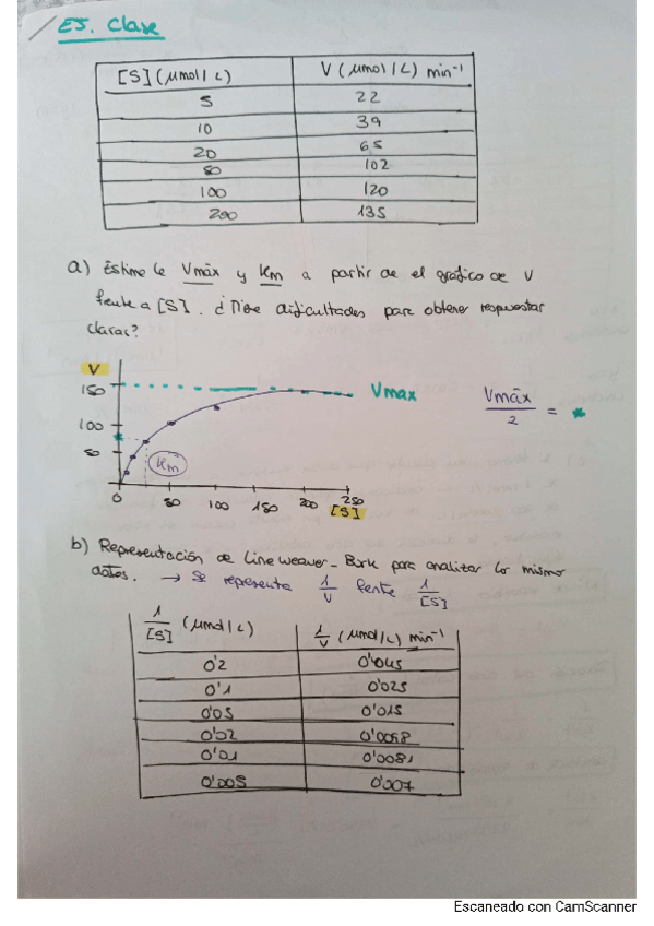 Miniatura del documento boletin-enzimas-bioquimica.pdf