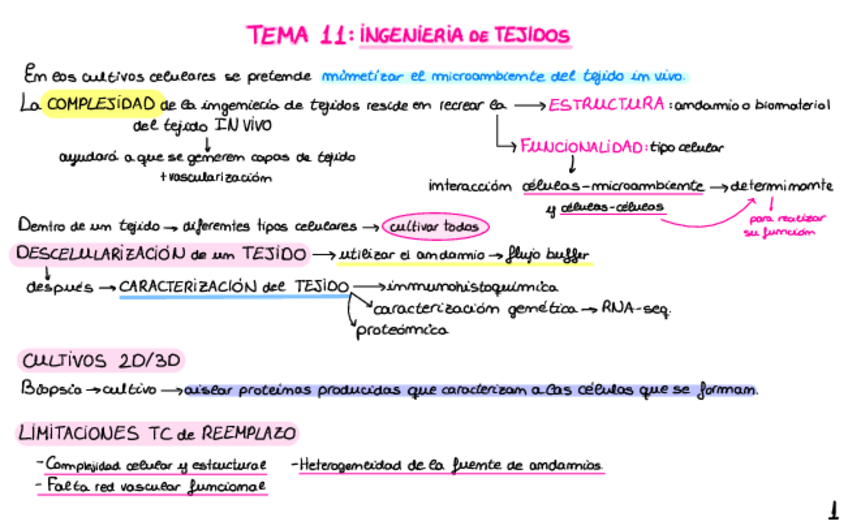 Miniatura del documento Tema-11.pdf