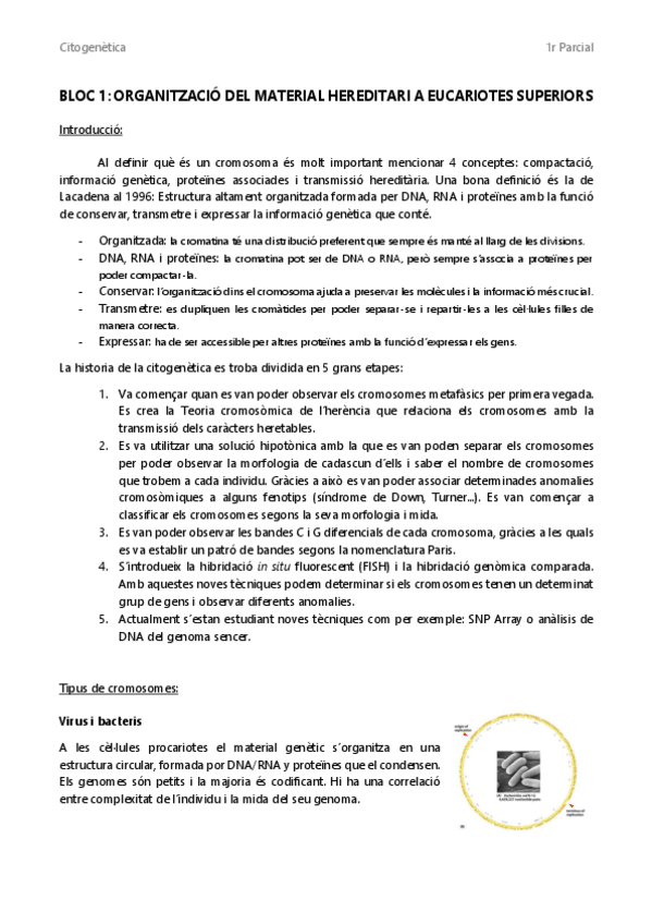 Miniatura del documento Apunts-citogenetica-1r-parcial.pdf