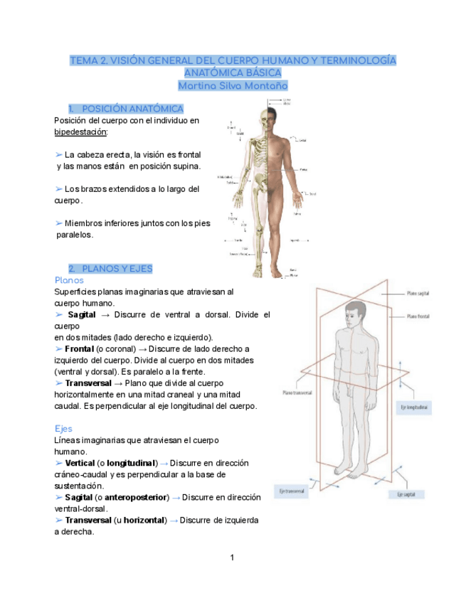 Miniatura del documento Tema-2.-Anatomia-General.pdf