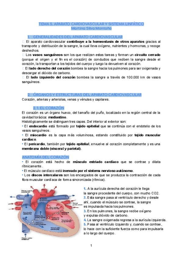 Miniatura del documento Tema-5.-Anatomia-General.pdf