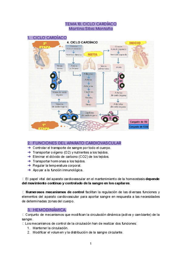 Miniatura del documento TEMA-10-Fisiologia-General.pdf