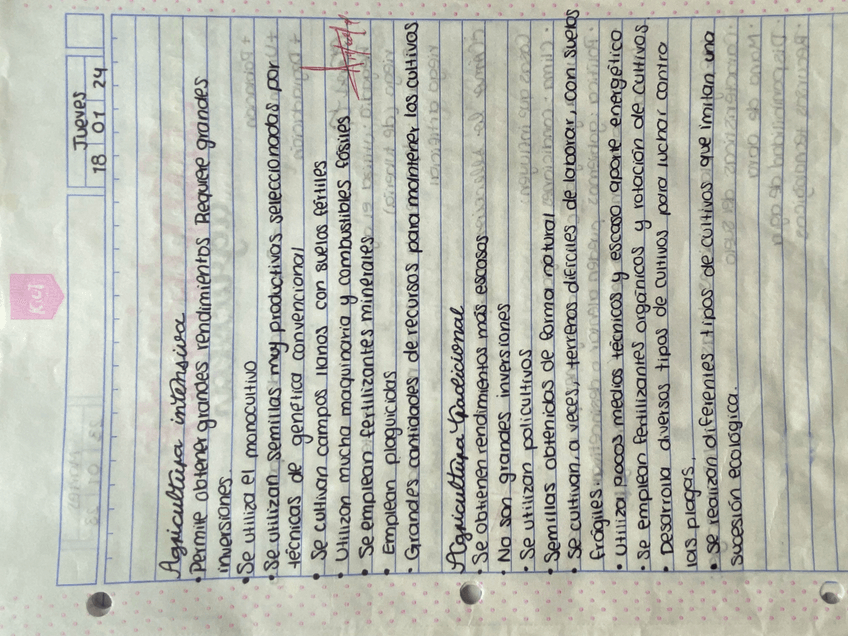 Miniatura del documento IMG1561.jpeg