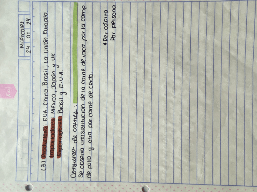 Miniatura del documento IMG1565.jpeg