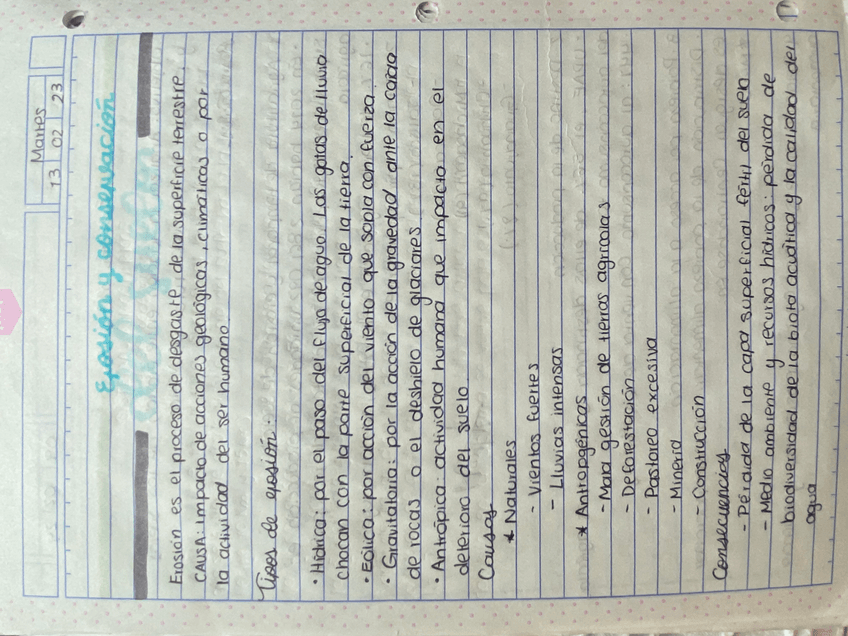 Miniatura del documento IMG1566.jpeg