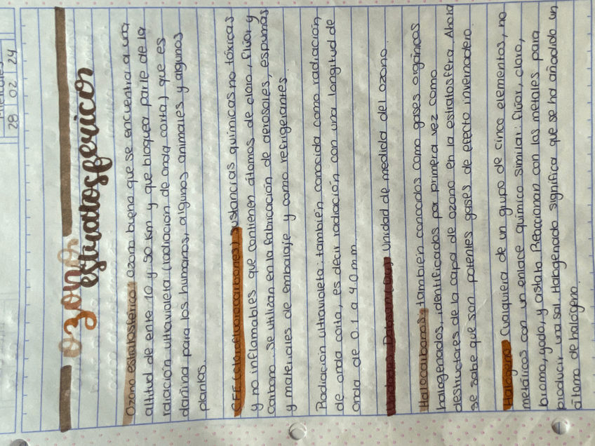 Miniatura del documento IMG1572.jpeg