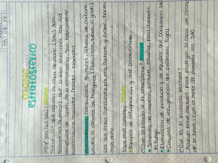 Miniatura del documento IMG1573.jpeg