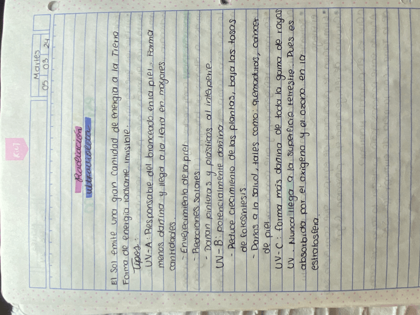 Miniatura del documento IMG1574.jpeg