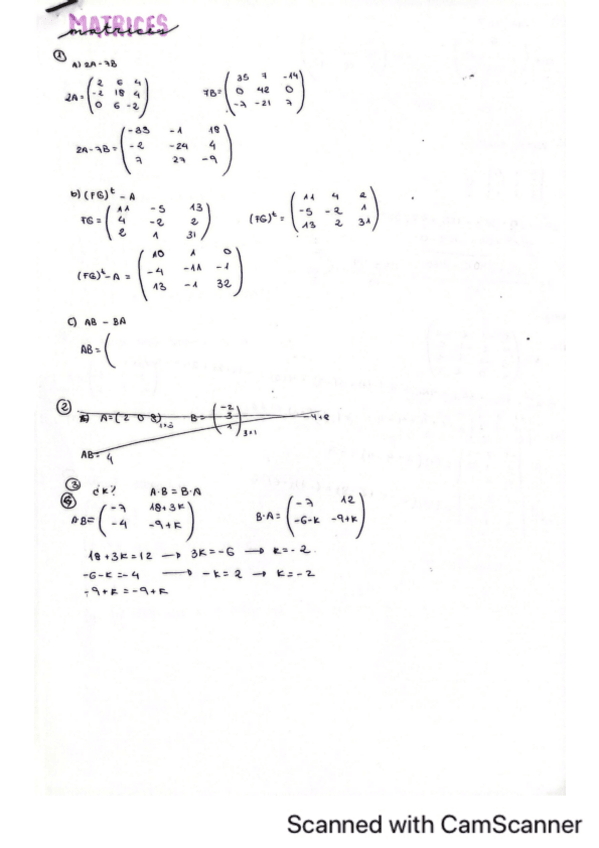 Miniatura del documento matrices.pdf
