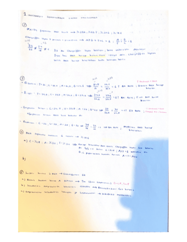 Miniatura del documento ariketak.pdf
