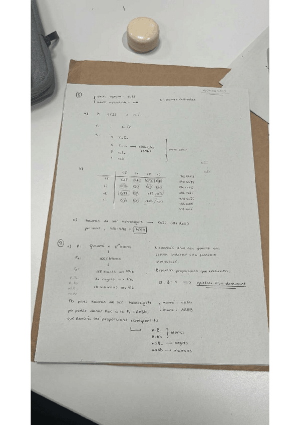 Miniatura del documento problemes-addicionals.pdf