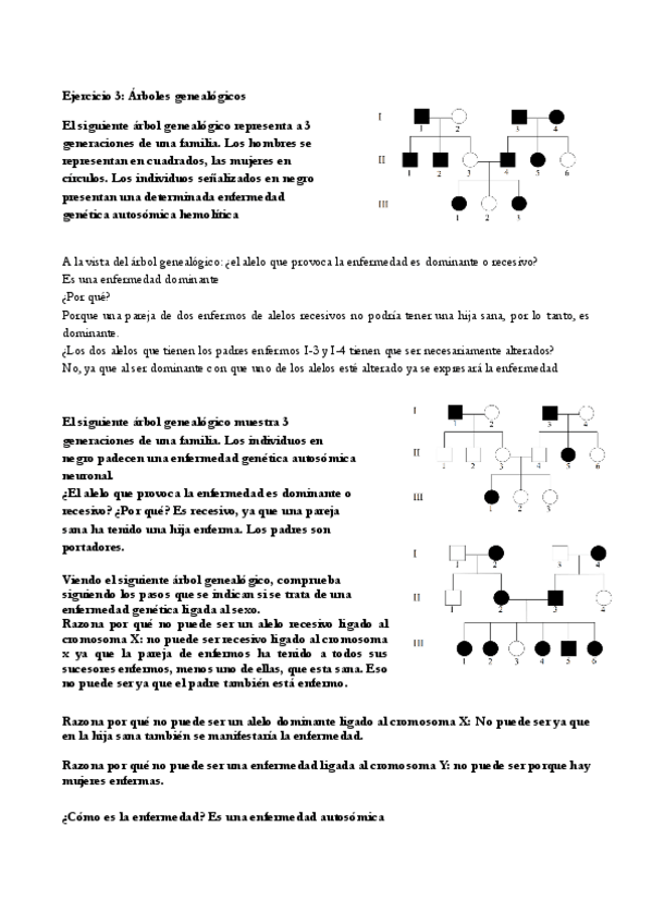 Miniatura del documento Ejercicio-3.pdf