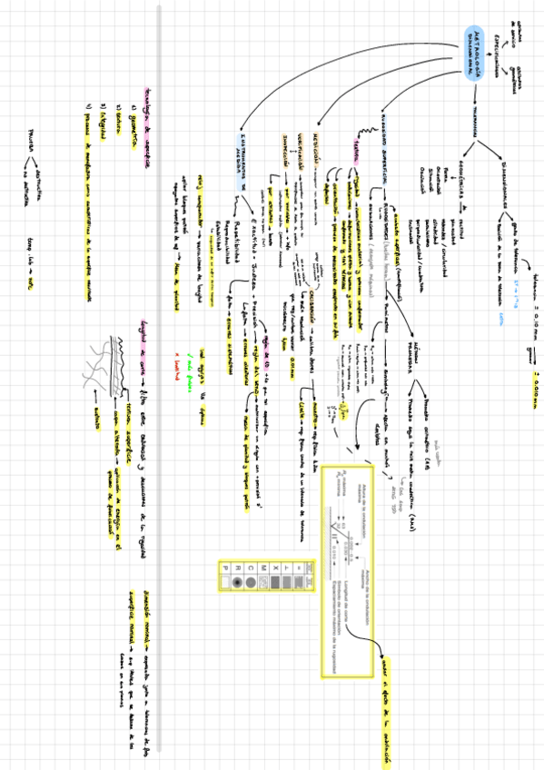 Miniatura del documento Superesumen-Parte-1.pdf