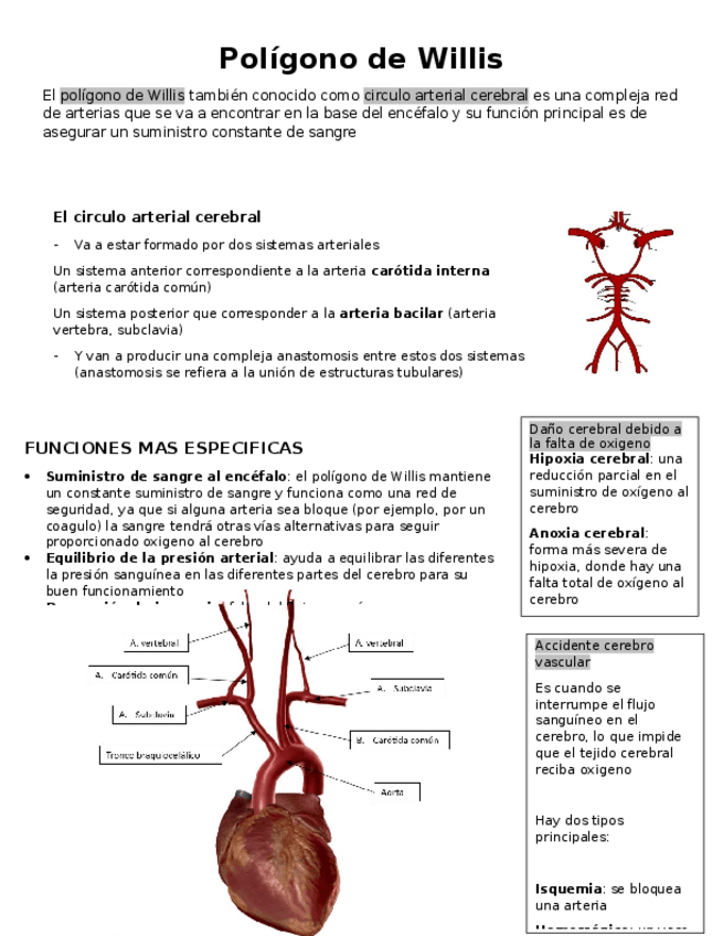 Miniatura del documento Poligono-de-Willis.docx