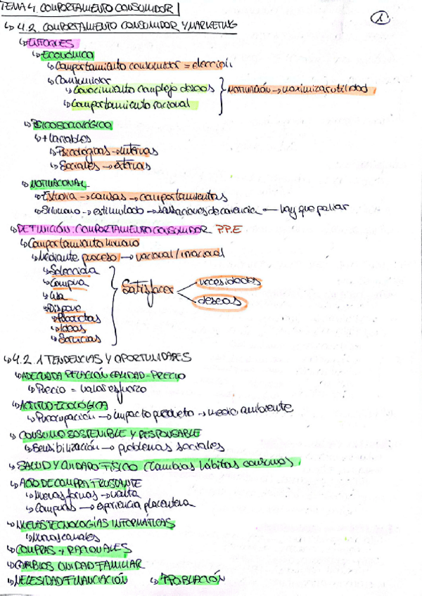 Miniatura del documento Tema-4.-El-comportamiento-del-Consumidor202406122348550000.pdf