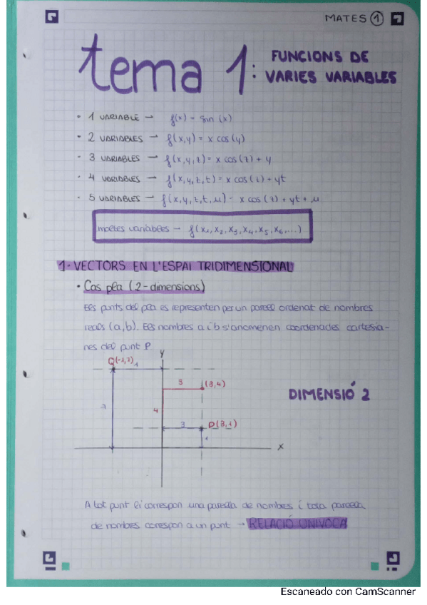 Miniatura del documento Tema-1-mates.pdf